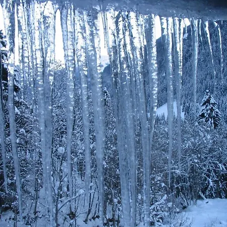 シャレー Maroldenhof