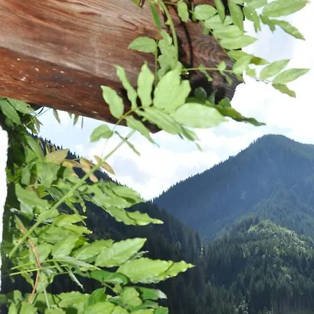 シャレー Maroldenhof