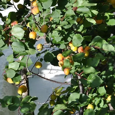 シャレー Maroldenhof *