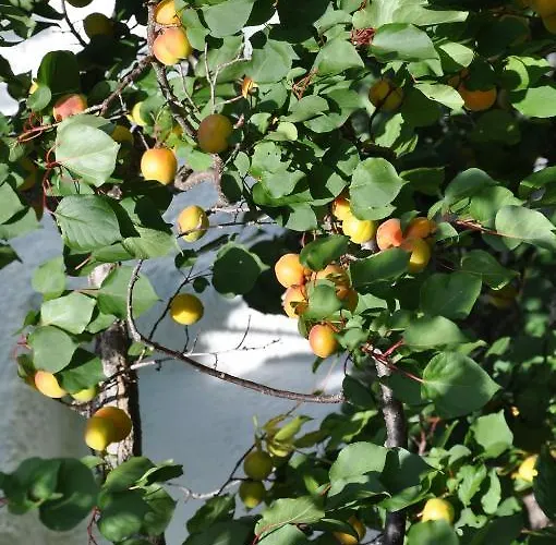 Chalet Maroldenhof *